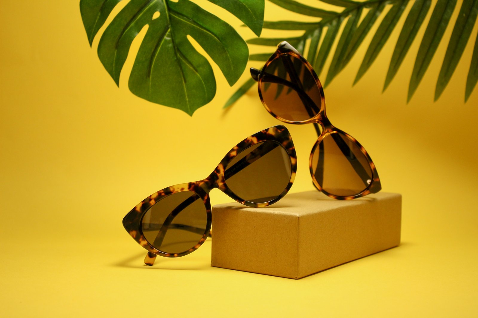 Two tortoiseshell sunglasses on a yellow background